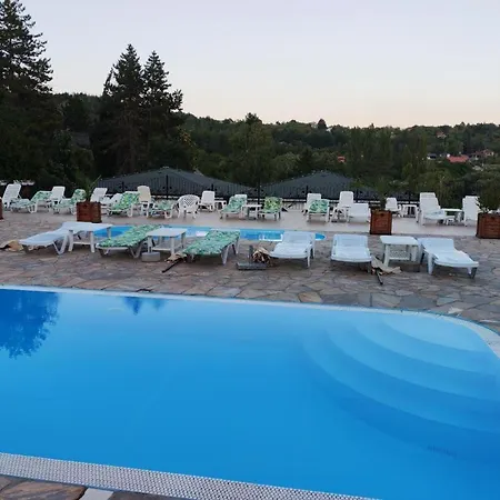 Elena Suncani Breg Vrdnik