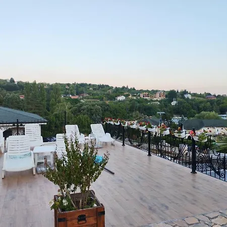 Elena Suncani Breg Vrdnik